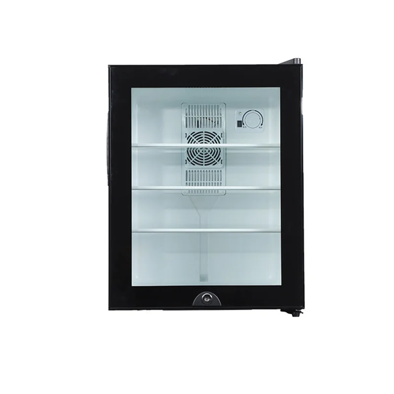 Wine Beer Fridge Small - Mini Koelkast Koeler 40L Koelkast Glazen