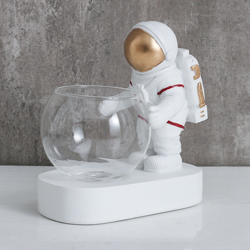 250ml Creatief Astronaut Desig - Wine Beer Mix Drink recensie en prijs